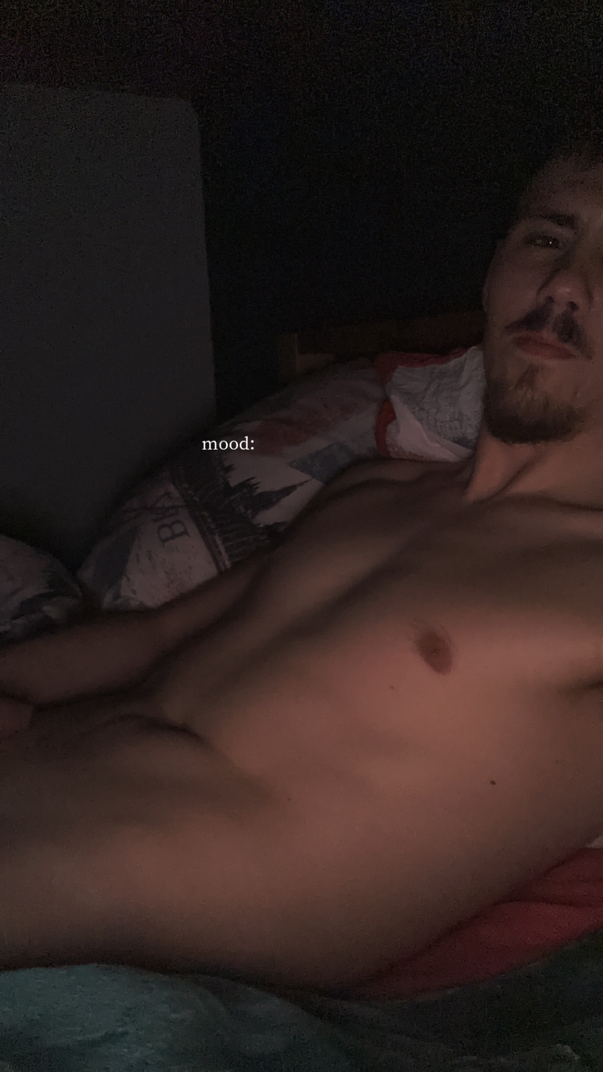 Profil de Elvyn, 24 ans, Boite gay à Horn